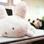 Conejo robótico aprende las voces de los usuarios en el primer saludo, permitiendo el cuidado personalizado del anciano robotic-pet-rabbit-rec – Robótica, Inteligencia Artificial, Automatización