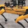 Los robots que pueden identificar materiales y mapear entornos desconocidos podrían ayudar a sectores nucleares y de defensa robótica brasil - Los robots que pueden identificar materiales y mapear entornos desconocidos podrían ayudar a sectores nucleares y de defensa